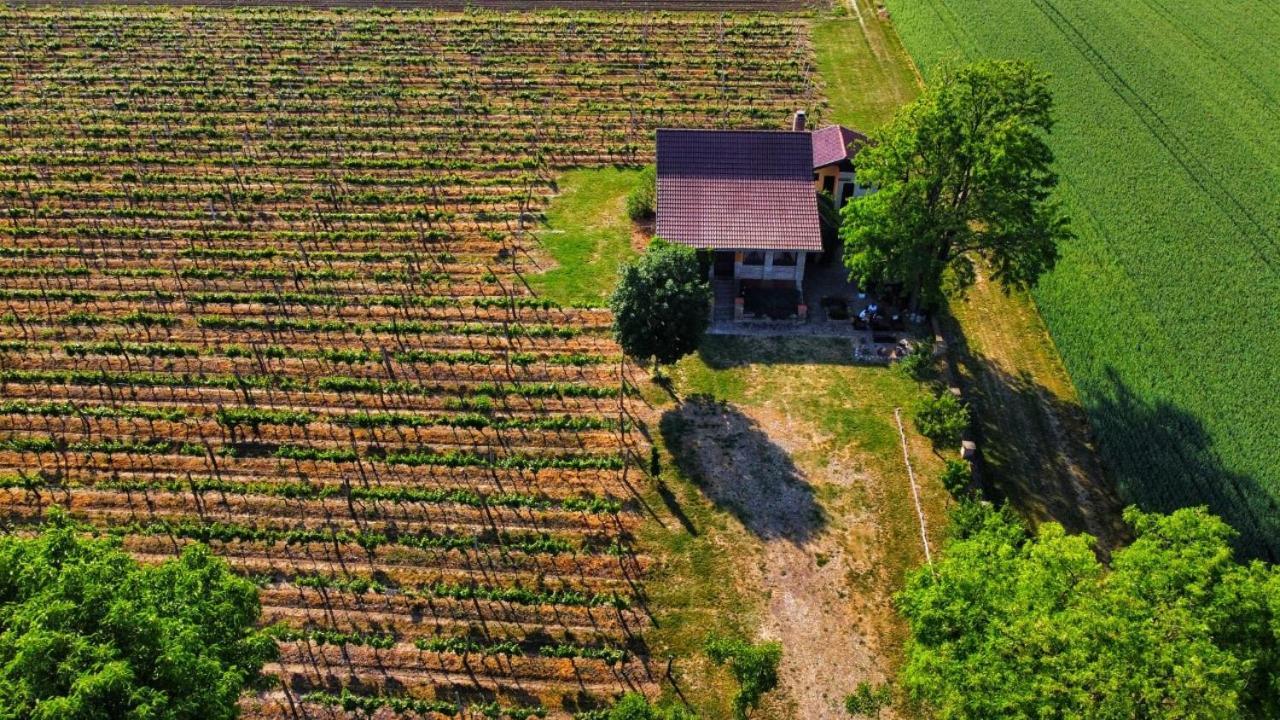 Izletiste Opatovac Guest House Exterior photo